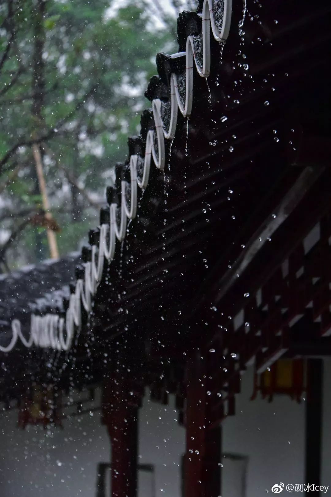 屋檐下躲雨的图片图片