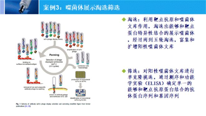 第二十二期在线交流体外生物学方法开发基本原理和实践