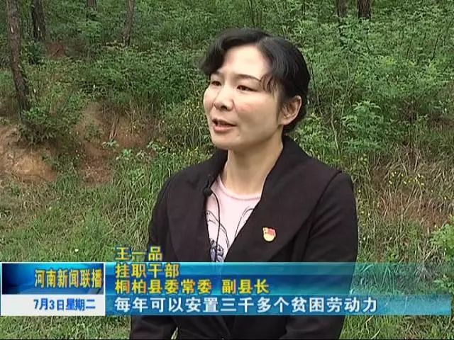 桐柏县丁副县长图片