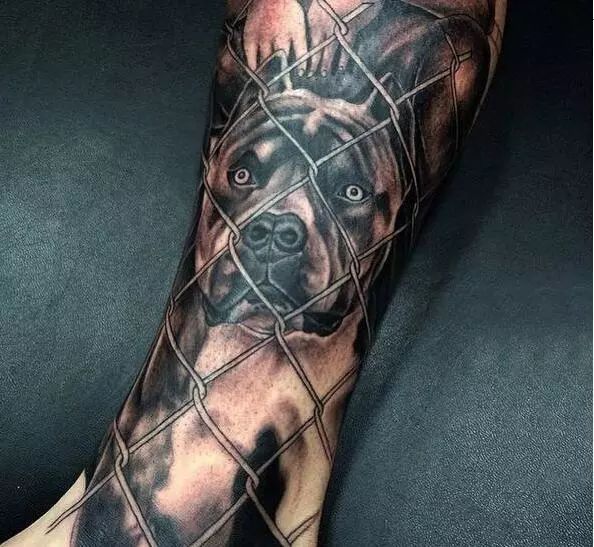 恶霸犬纹身图案图片