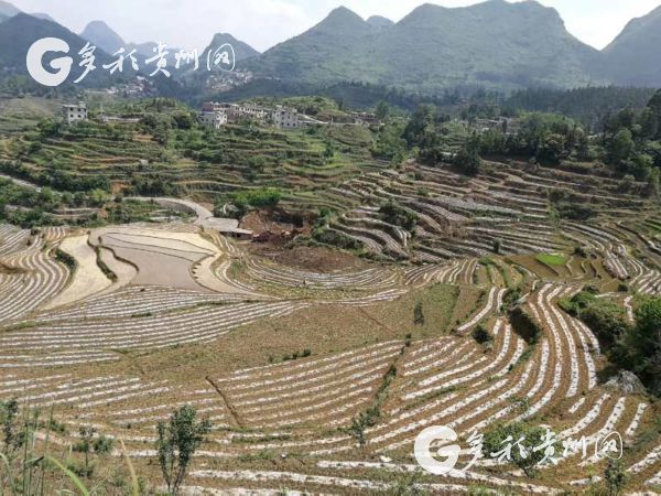 普定县坪上镇奋力走出一条可持续发展道路