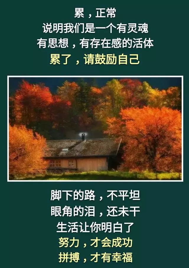 人活著:不累,是木頭;不痛,是磚頭;不苦,是石頭