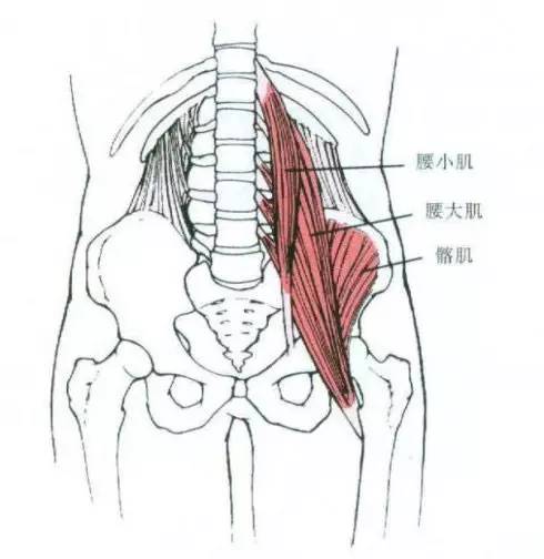 女人怎样走路最显气质 仪态