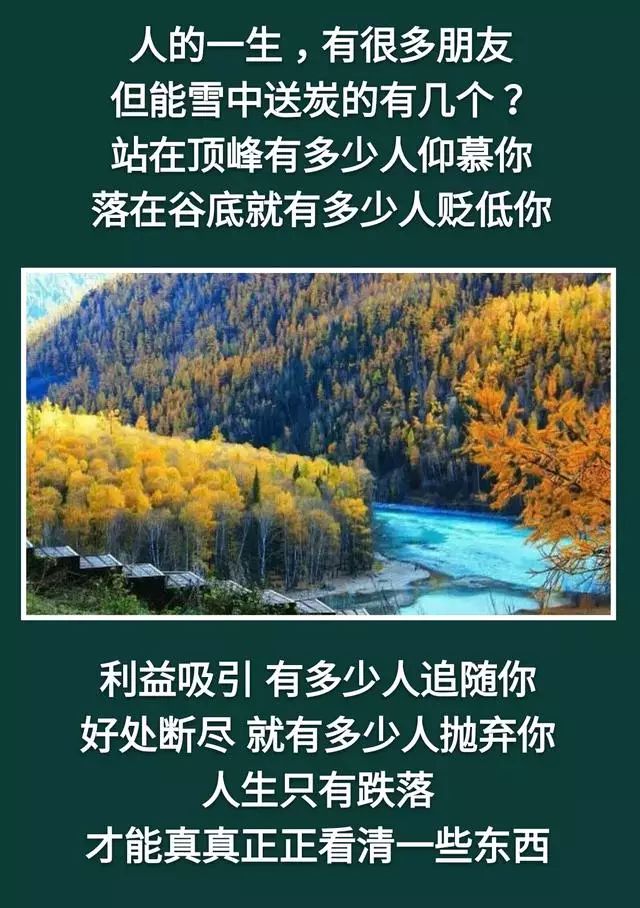 人活著:不累,是木頭;不痛,是磚頭;不苦,是石頭