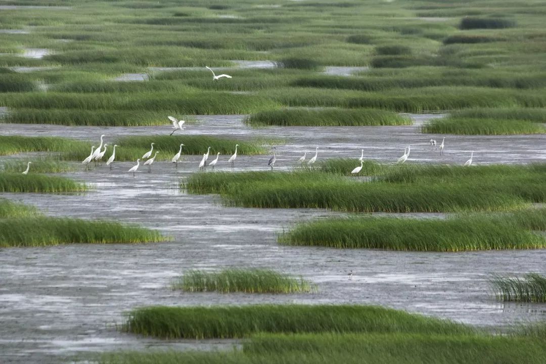 夏令營報名橫沙島懷心農場嚮往的生活就在這裡