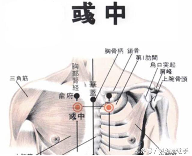 六,配伍穴位咽喉腫痛| 配伍穴位:彧中穴,天突穴,間使穴咳喘| 配伍穴位