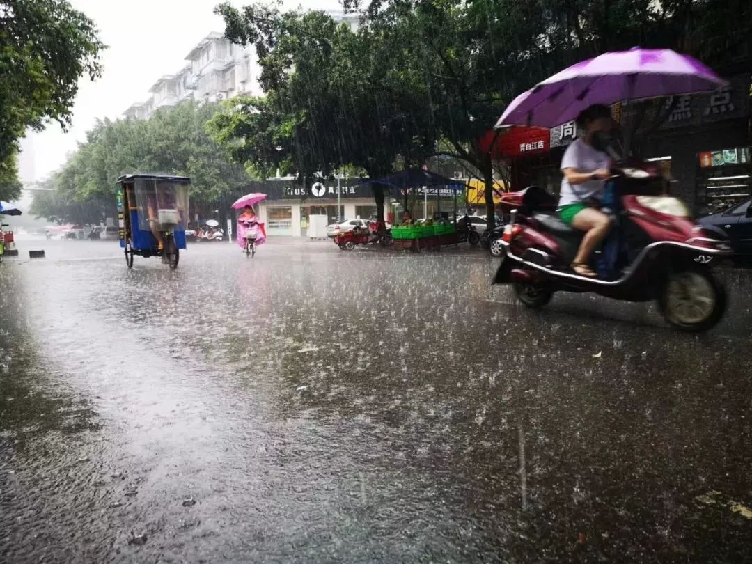 雨中的青白江先來感受一波這雨啥時候才停呀朋友圈一片哀嚎連續一週