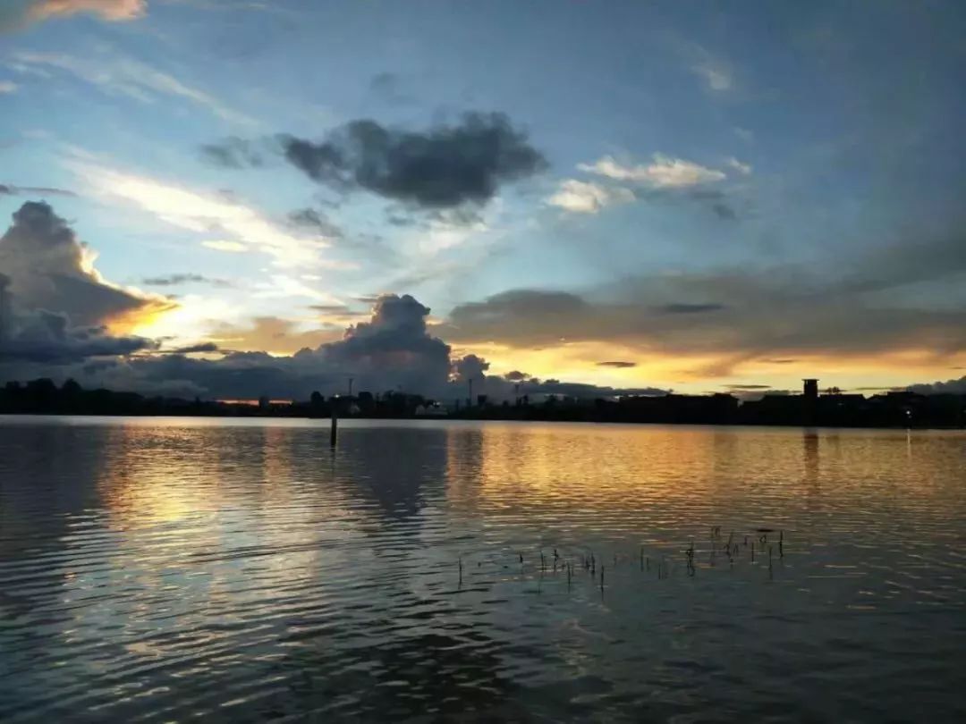 楚雄市暫停彝海公園遊船等項目經營彝海之殤正在慢慢被治癒將再現水鳥