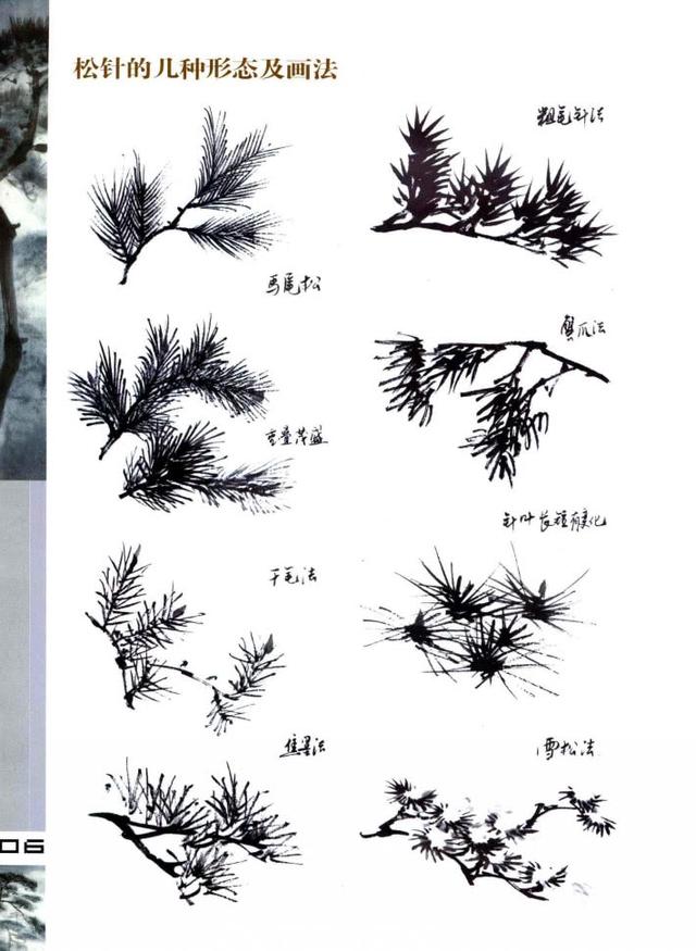 松樹的基礎畫法圖解松樹的各種畫法松樹的結構及作畫步驟詳解