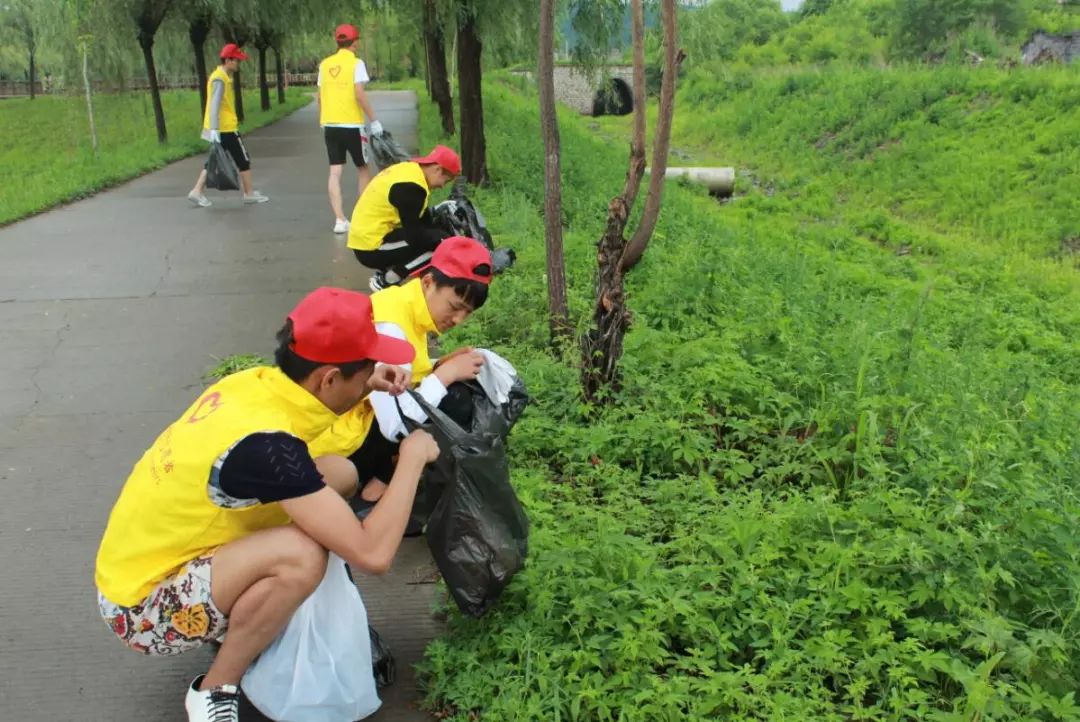 這幫美女帥哥集體在荷花池邊撿垃圾