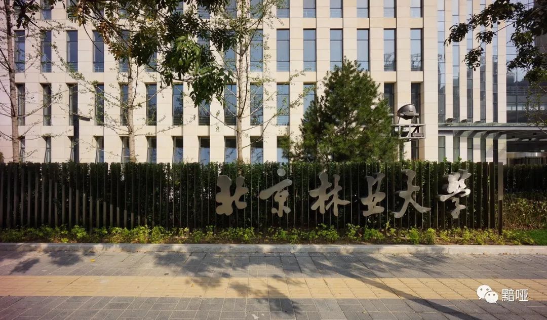 北京林业大学学研中心景观案例全面解析