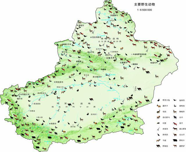 主要分布的脊椎动物近700种,约占全国种类的11%,新疆无脊椎动物约