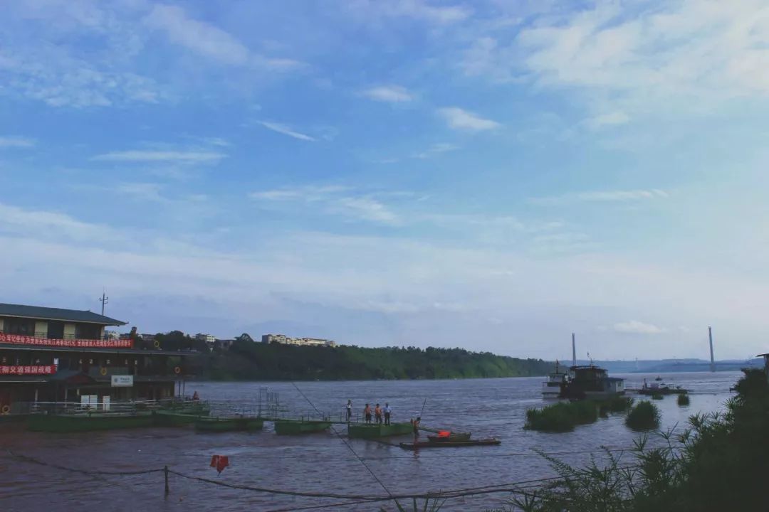 南溪長江水位暴漲溼地公園再次被淹千萬遠離江邊