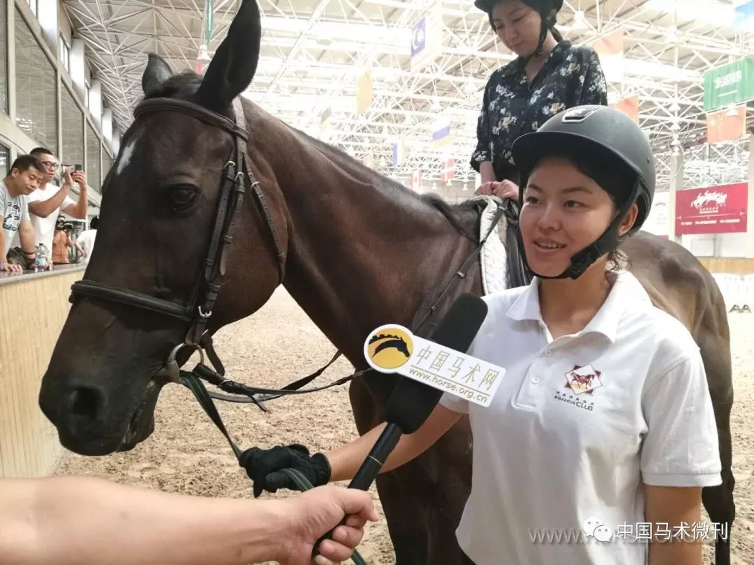 国际体育记者日:新闻工作者到"天星调良"体验马术骑乘