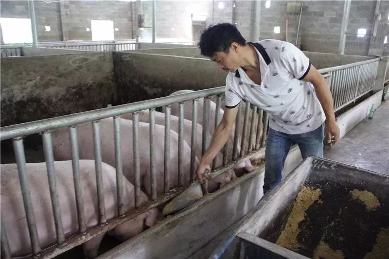 赚钱的同时黄德学夫妻俩也终于能照顾双亲和儿女享受天伦之乐今年的