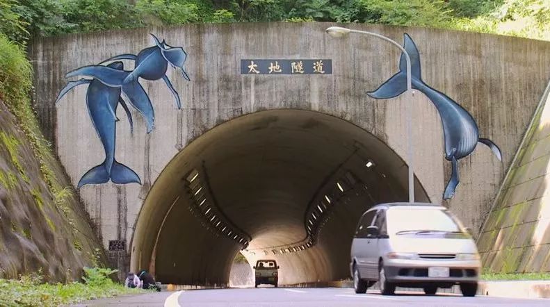 太地町鲸鱼博物馆图片