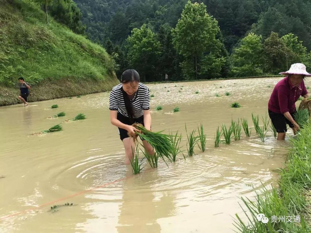 鐵骨柔情的交通老大姐