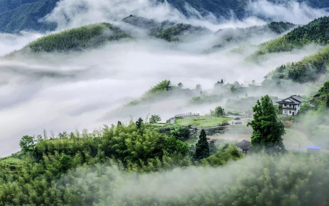 厲害雲和縣小城市培育連續四年獲省考核優秀等次