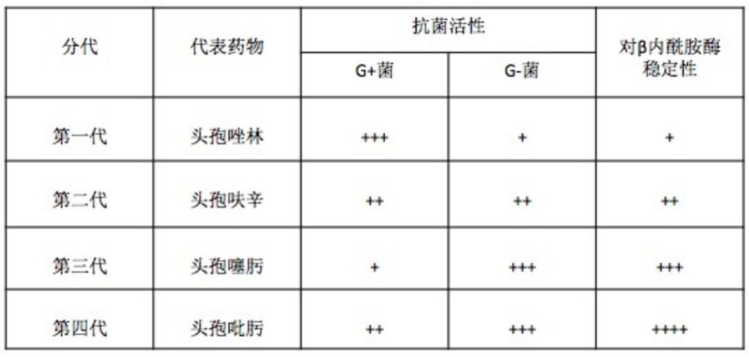 头孢抗菌谱图片