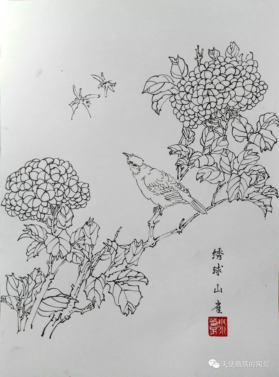 玫瑰為誰開——花卉寫生集(生若夏花篇)