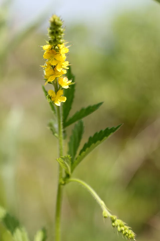 活動回顧探秘百花山