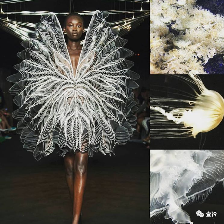 iris van herpen3D打印图片