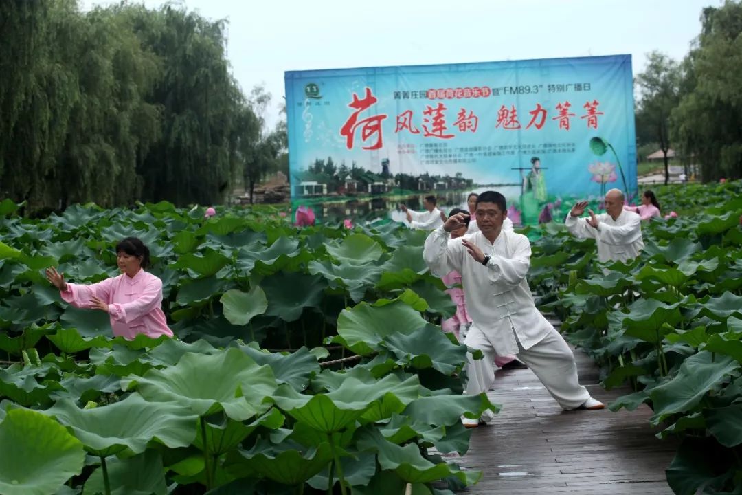 荷风莲韵,魅力箐箐———箐箐庄园第二届荷花文化艺术节8号邀您来看哦