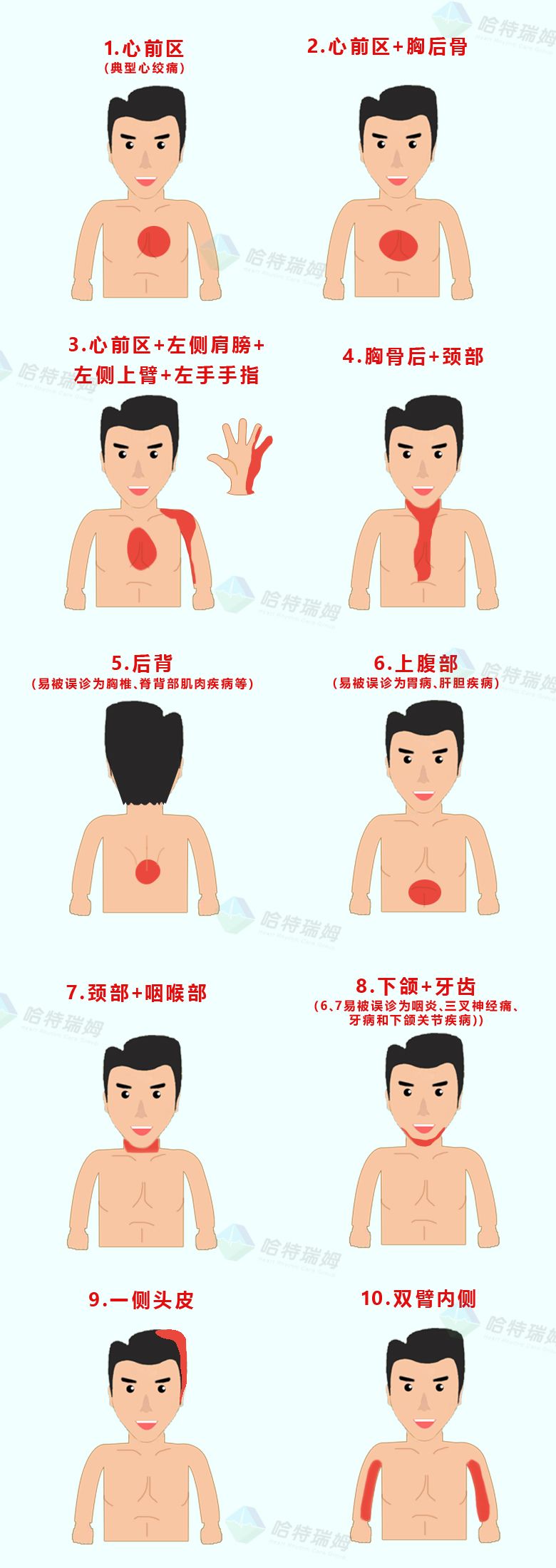 心绞痛在哪个部位图片