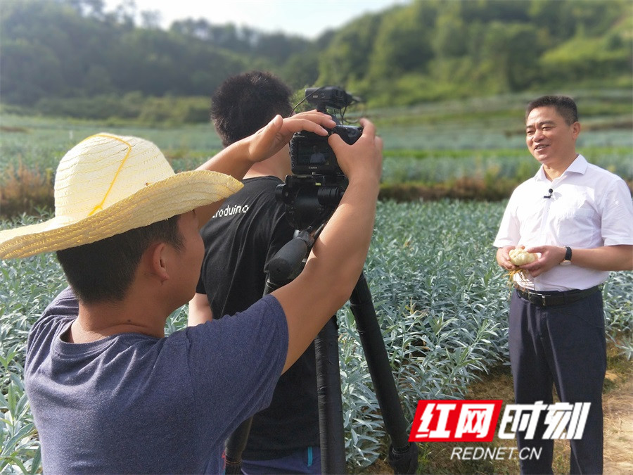 隆回县委书记王永红图片