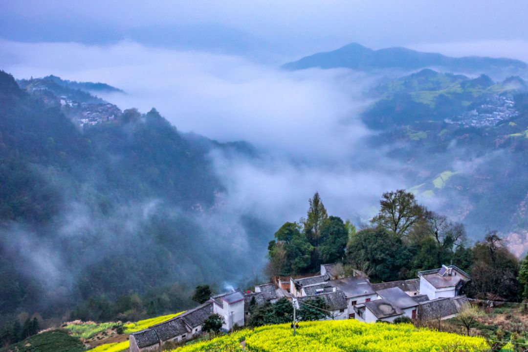 旅遊 正文三四月的南方早已山花燦爛,藏身在崇山峻嶺中的松陽,此刻