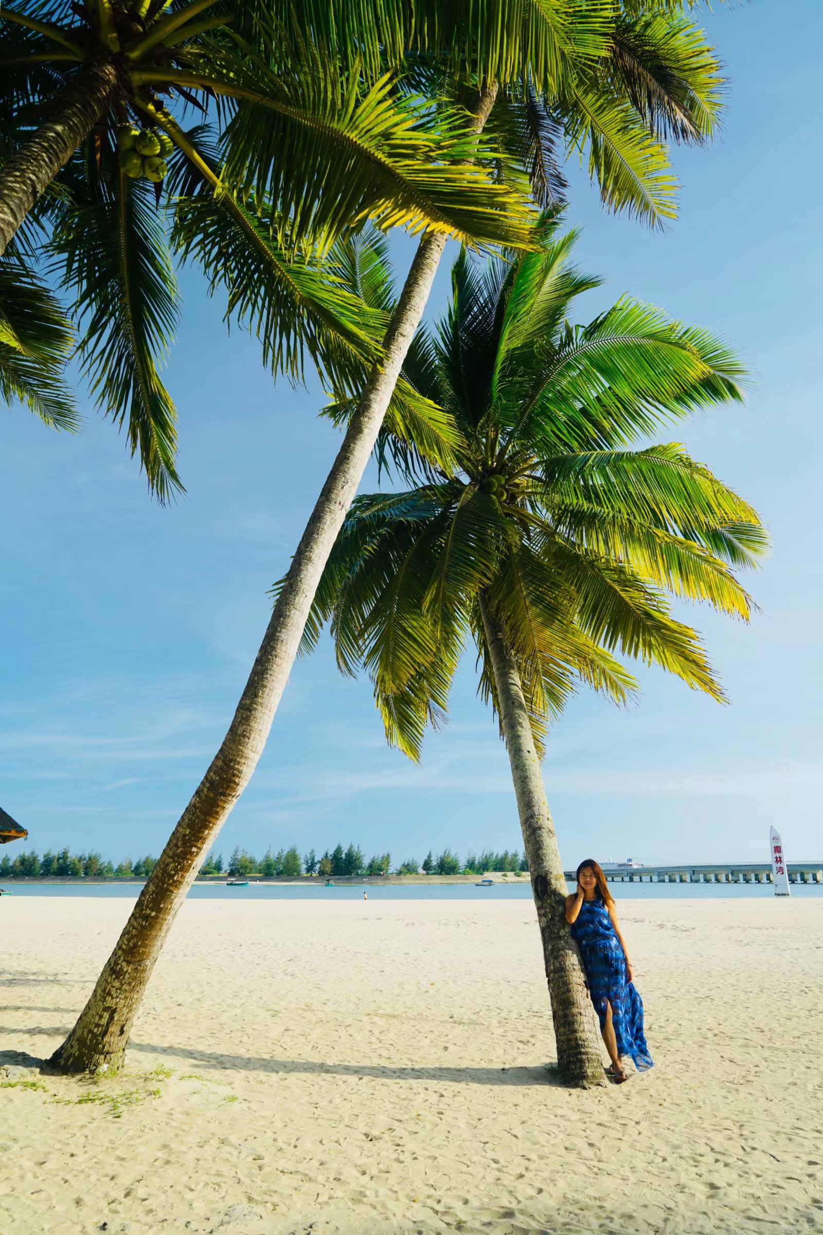 想去海南看椰树,就这个地方最美