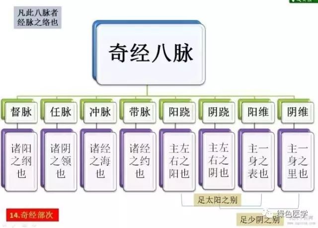 中醫詳解奇經八脈