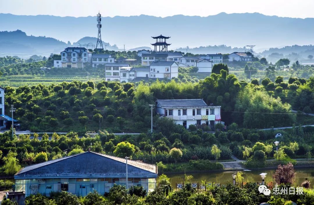 七彩大地遍忠州