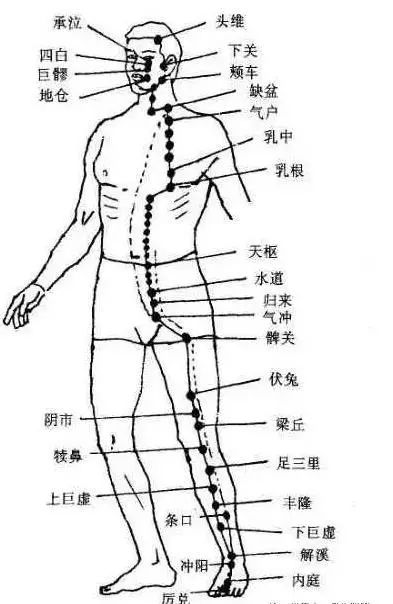 膝关节,上下楼痛,走路痛,久站痛,掐按这里,立即祛痛