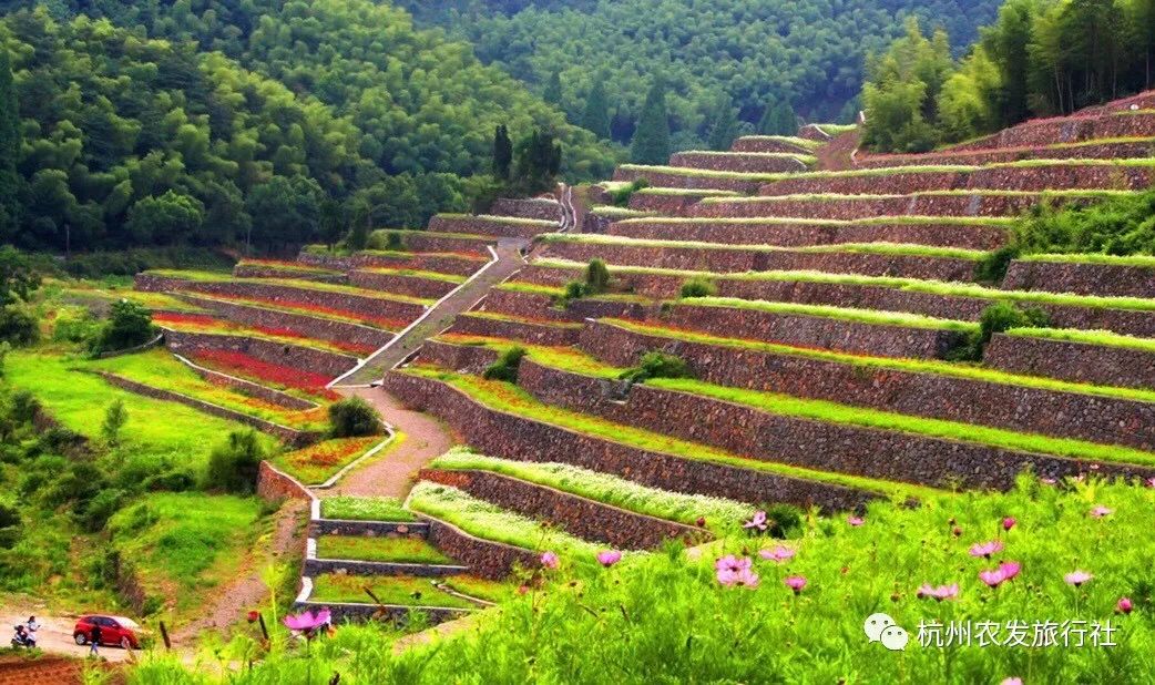 福利10個鄉村遊名額邀請你免費遊湖登山嘗美味快來報名