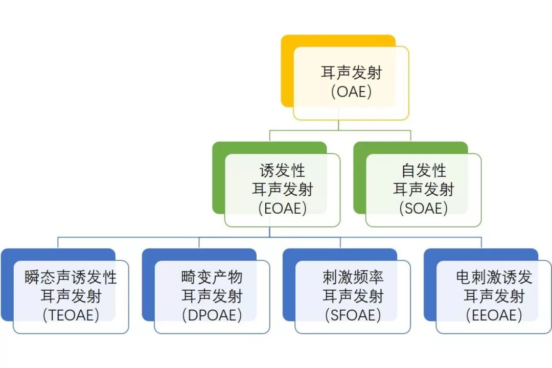 听力诊断耳声发射基础理论与临床应用