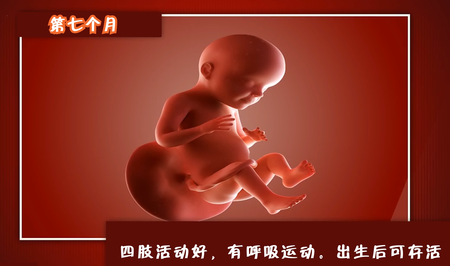 怀孕多久可以知道胎儿性别,孕妈们来看看胎儿的生长过程!