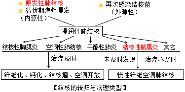 【 医师考点】原发型肺结核及试题