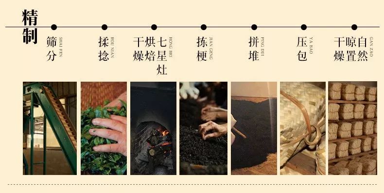 手工茶叶制作过程图片