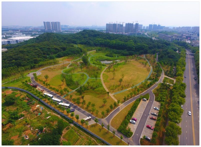 在绿化建设方面,尧化街道先后实施了太平山公园,姚坊门公园,新城公园