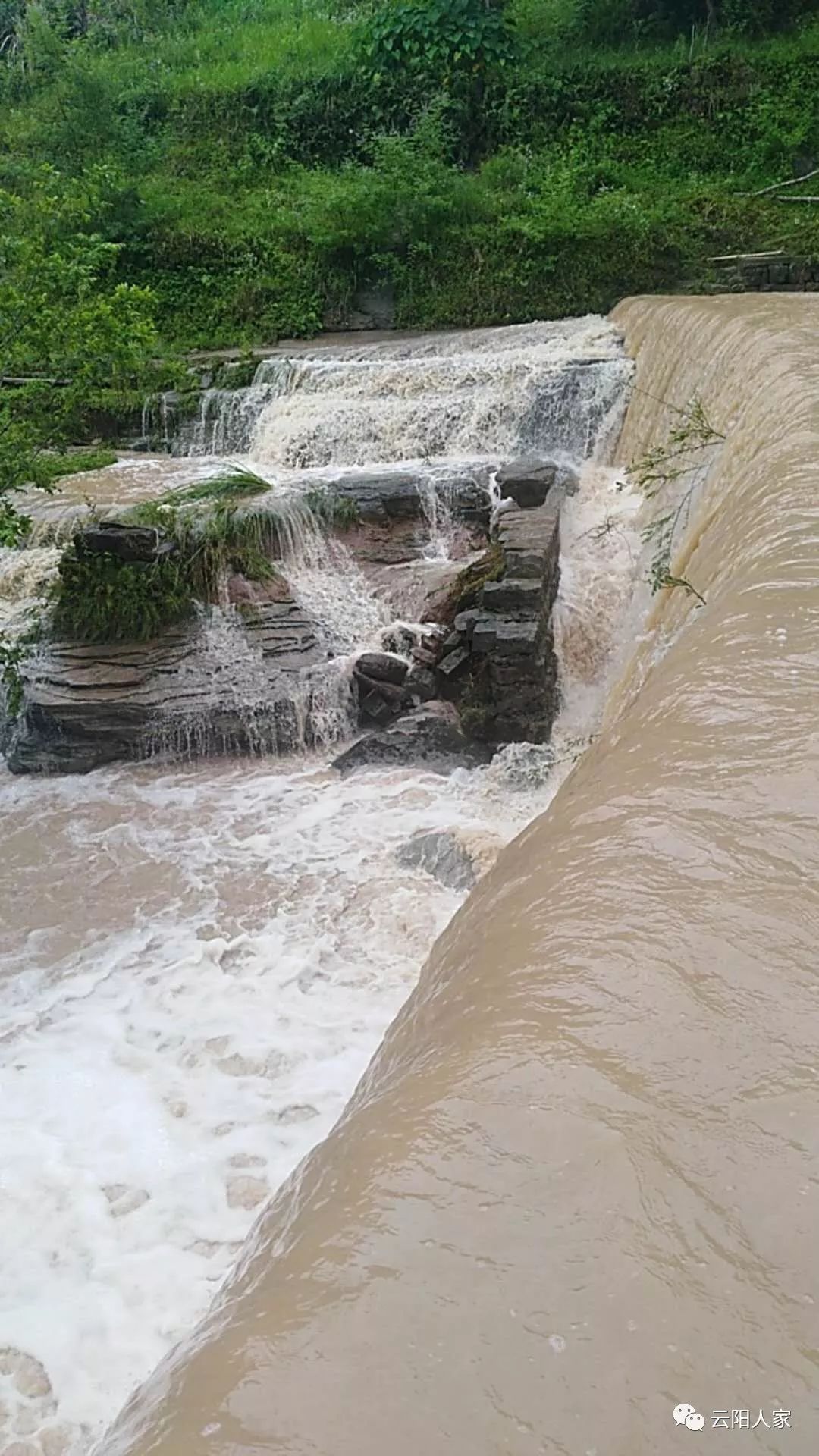 被洪水冲垮决堤的河沟:在路上都可以捡到鱼鱼户门损失不清大雨过后被