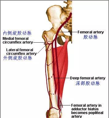 正确的动脉采血你做到了吗