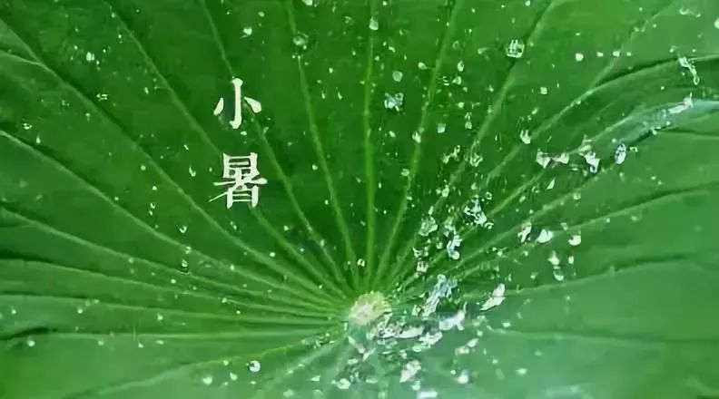 蟬鳴聒噪仔細一聽卻是夏天的專屬節奏沒有揮汗如雨,大汗淋漓怎能體會