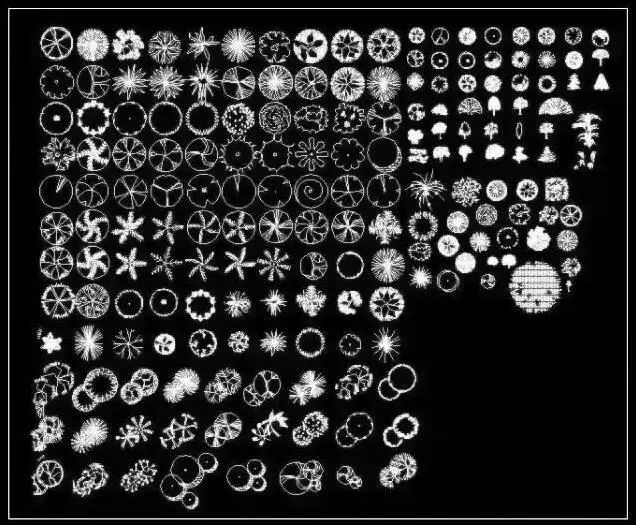 cad素材植物图片
