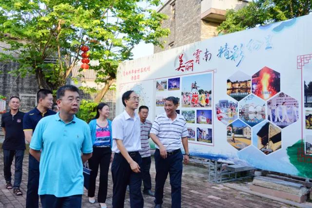 调研组在鹤山市龙口镇霄南村调研