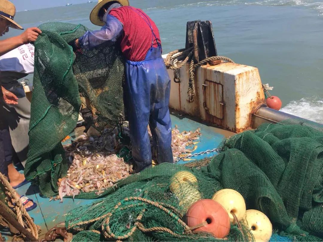 海岛季沙滩海游出海捕鱼美味海鲜这个夏天我们去石浦看海可好