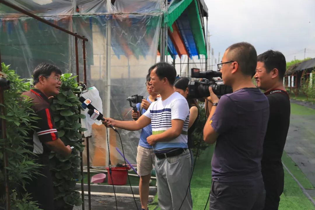 模式,引进企业发展"空中田园"生态立体种植,该项目的负责人蔡海璋介绍