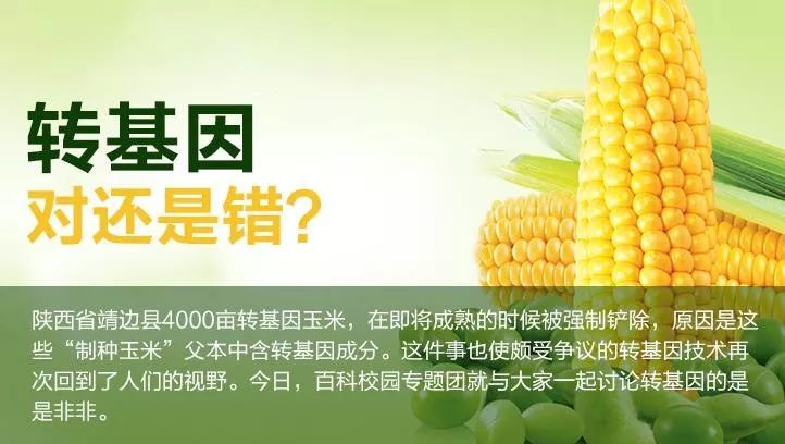 遂宁人:最新规定,转基因食用植物油应显著标示!鼓励举报违法行为!