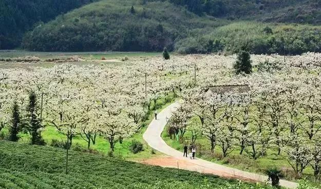 地址:光澤縣李坊鄉,距縣城區25公里,316國道邊緣交通:搭乘出租車或