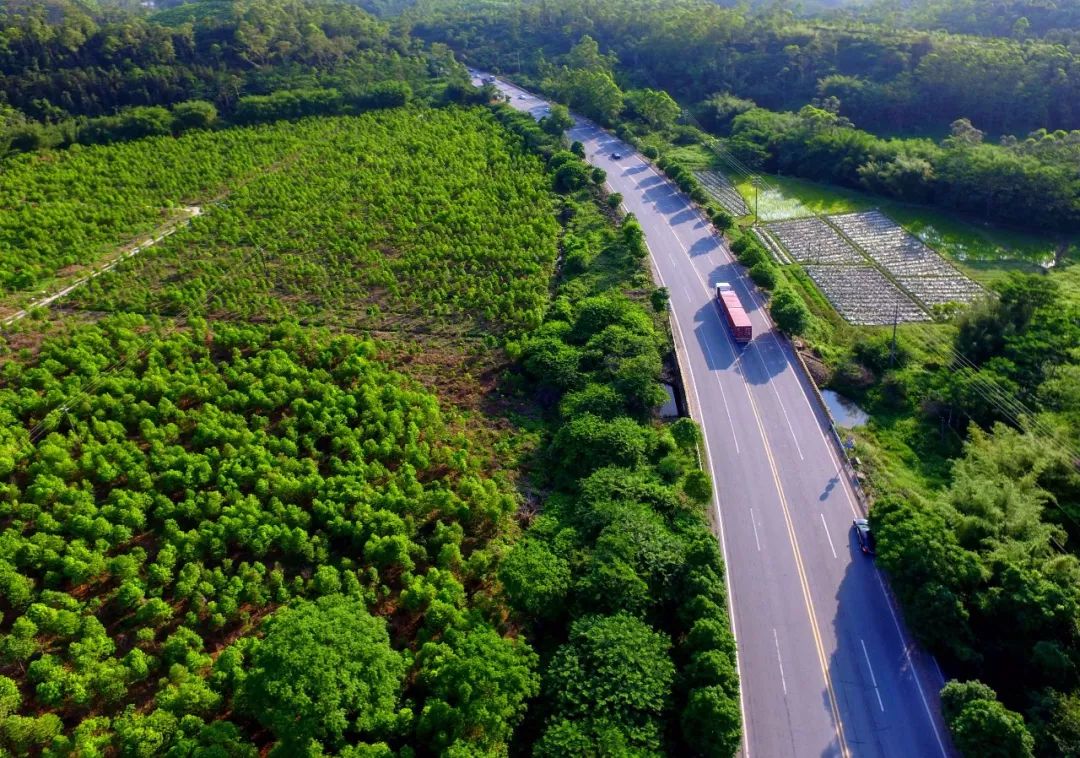 《生态公路》摄影:何兆平